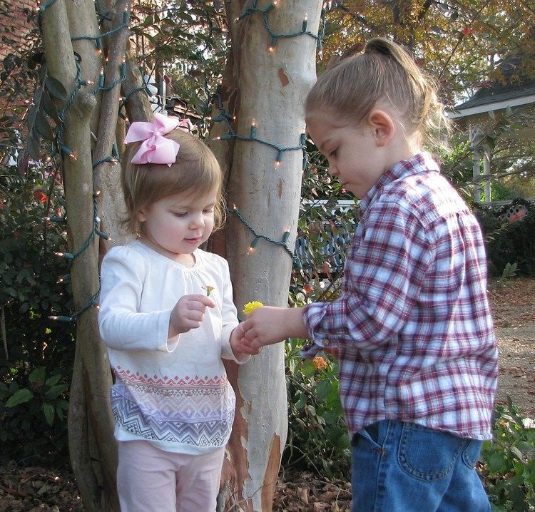 In Home Speech and Language Therapy